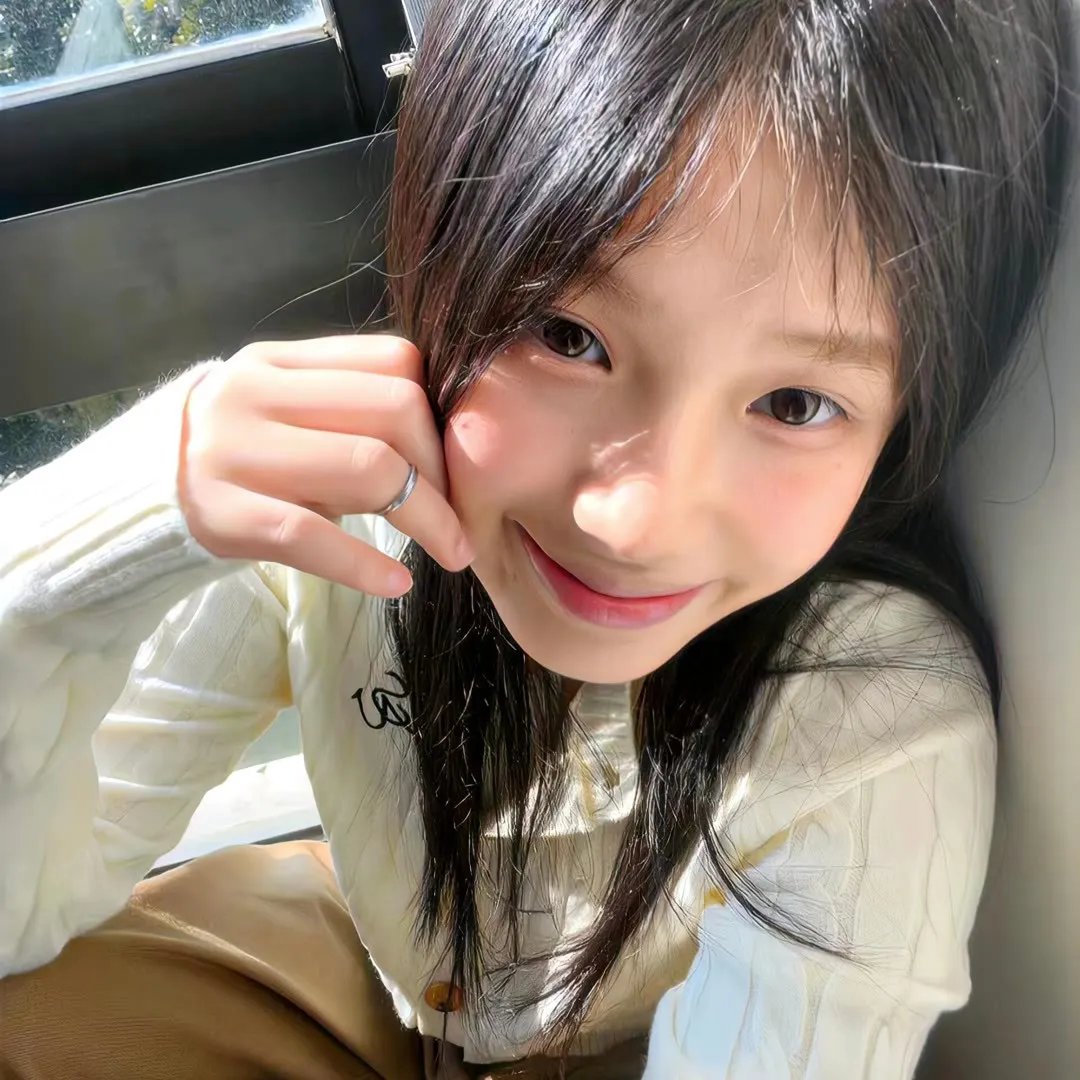 几度菊花香
